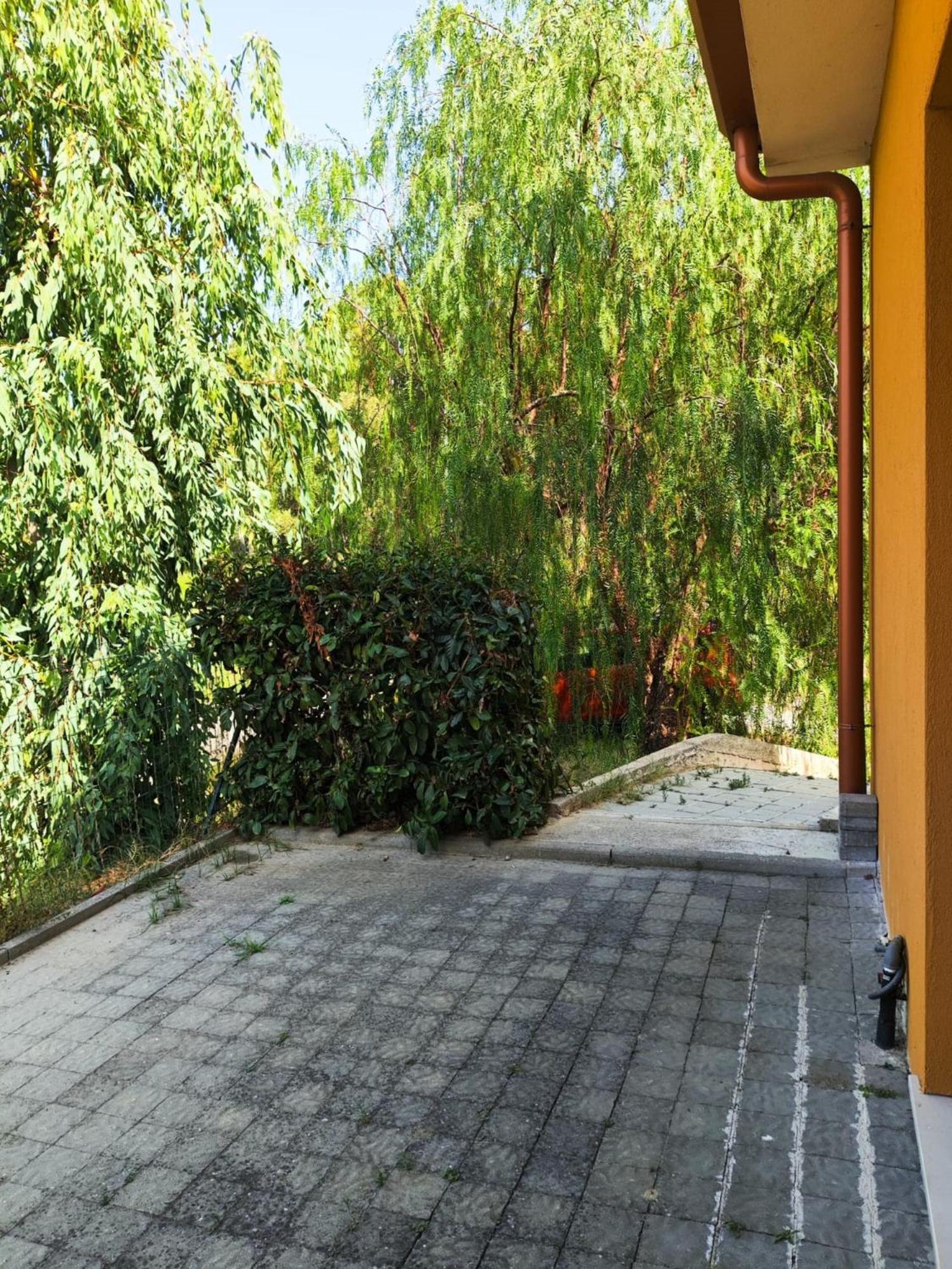 B & B Residence L'Ancora 维拉皮亚纳 外观 照片
